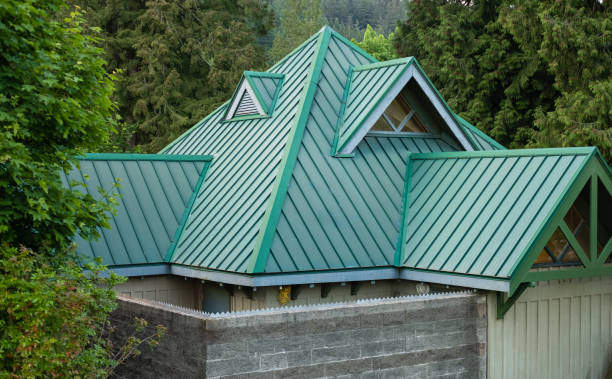 Best Roof Replacement  in Eastwood, MI
