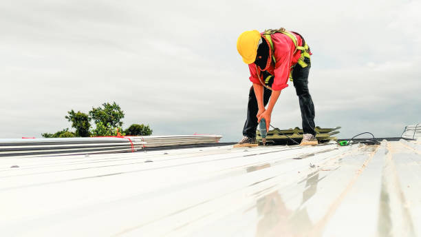 Best Roof Installation  in Eastwood, MI